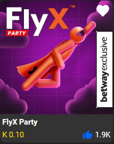 FlyX Party